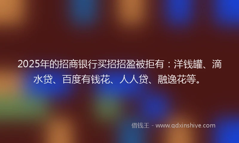 2025年的招商银行买招招盈被拒有：洋钱罐、滴水贷、百度有钱花、人人贷、融逸花等。