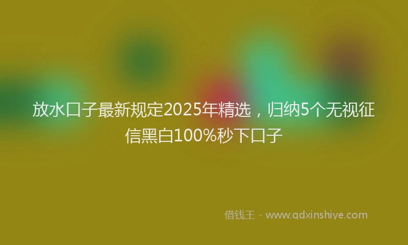 放水口子最新规定2025年精选，归纳5个无视征信黑白100%秒下口子