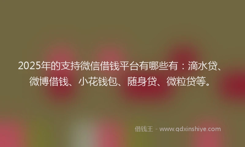 2025年的支持微信借钱平台有哪些有：滴水贷、微博借钱、小花钱包、随身贷、微粒贷等。