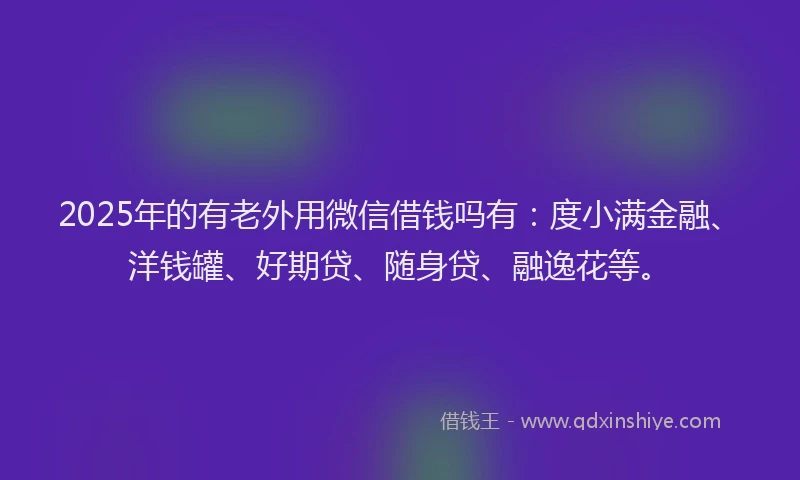 2025年的有老外用微信借钱吗有：度小满金融、洋钱罐、好期贷、随身贷、融逸花等。