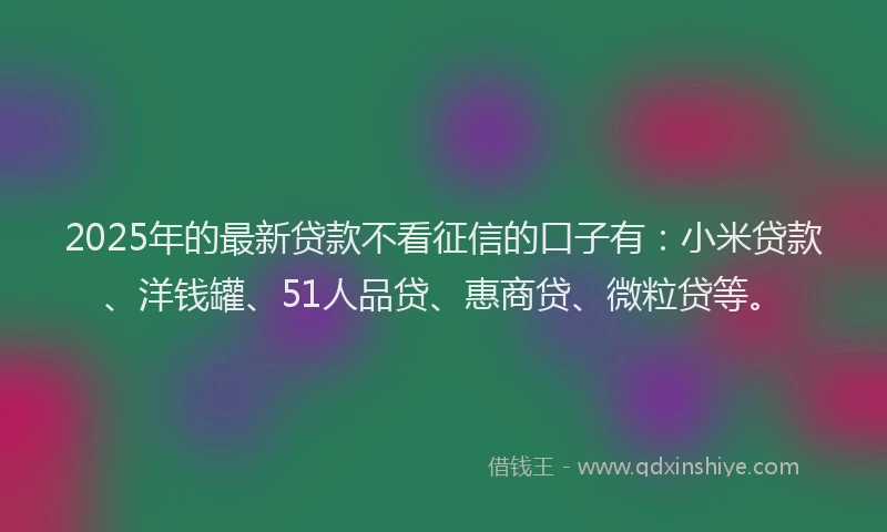 2025年的最新贷款不看征信的口子有：小米贷款、洋钱罐、51人品贷、惠商贷、微粒贷等。
