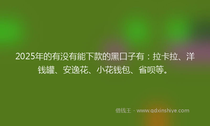 2025年的有没有能下款的黑口子有：拉卡拉、洋钱罐、安逸花、小花钱包、省呗等。