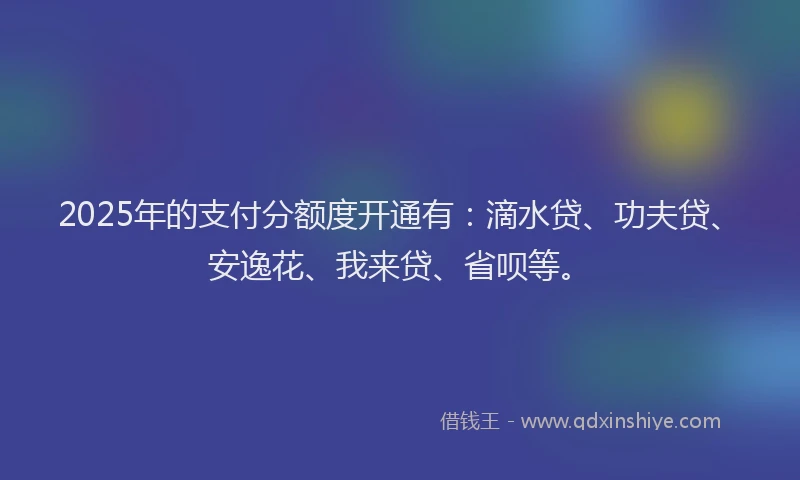 2025年的支付分额度开通有：滴水贷、功夫贷、安逸花、我来贷、省呗等。