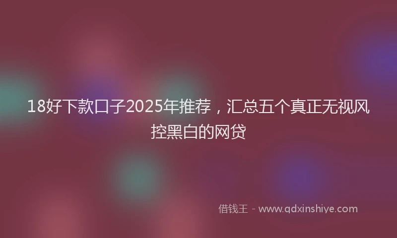 18好下款口子2025年推荐，汇总五个真正无视风控黑白的网贷