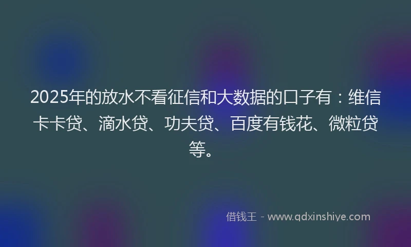 2025年的放水不看征信和大数据的口子有：维信卡卡贷、滴水贷、功夫贷、百度有钱花、微粒贷等。