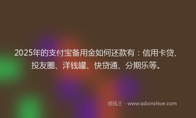 2025年的支付宝备用金如何还款有：信用卡贷、投友圈、洋钱罐、快贷通、分期乐等。