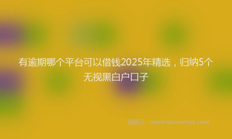 有逾期哪个平台可以借钱2025年精选，归纳5个无视黑白户口子