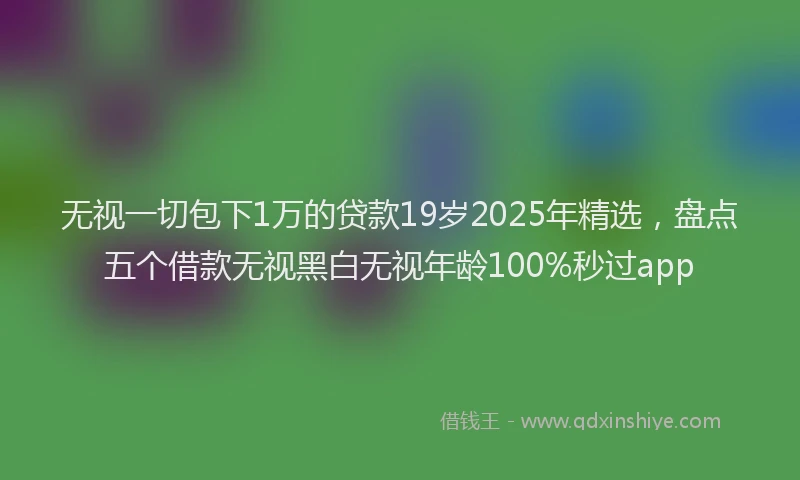 无视一切包下1万的贷款19岁2025年精选，盘点五个借款无视黑白无视年龄100%秒过app