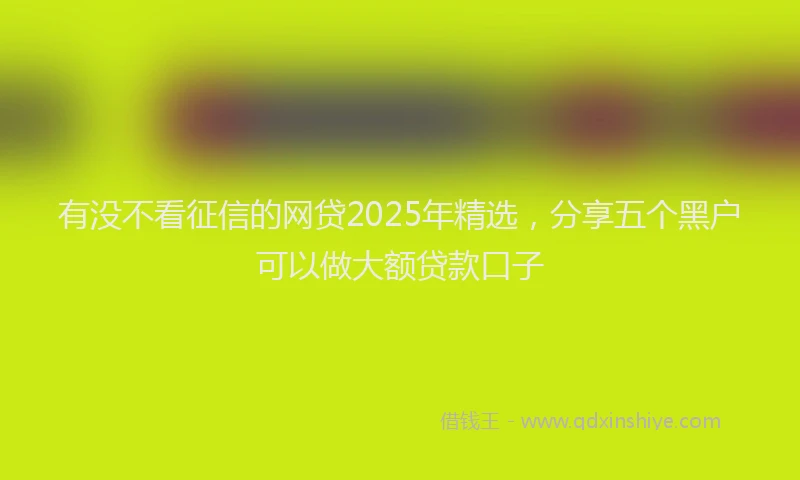 有没不看征信的网贷2025年精选，分享五个黑户可以做大额贷款口子