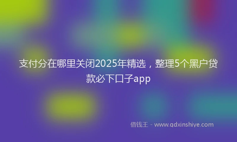 支付分在哪里关闭2025年精选，整理5个黑户贷款必下口子app