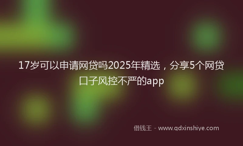 17岁可以申请网贷吗2025年精选，分享5个网贷口子风控不严的app