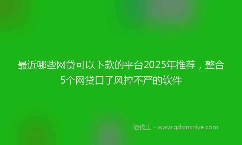 最近哪些网贷可以下款的平台2025年推荐，整合5个网贷口子风控不严的软件