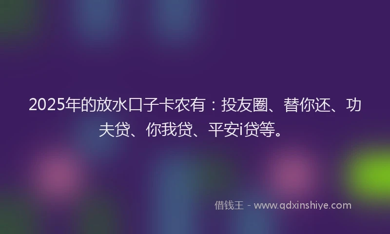 2025年的放水口子卡农有：投友圈、替你还、功夫贷、你我贷、平安i贷等。