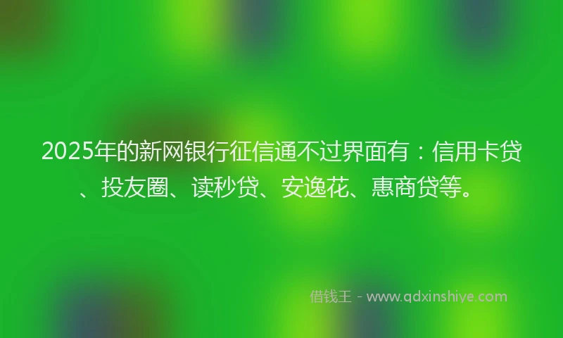 2025年的新网银行征信通不过界面有：信用卡贷、投友圈、读秒贷、安逸花、惠商贷等。