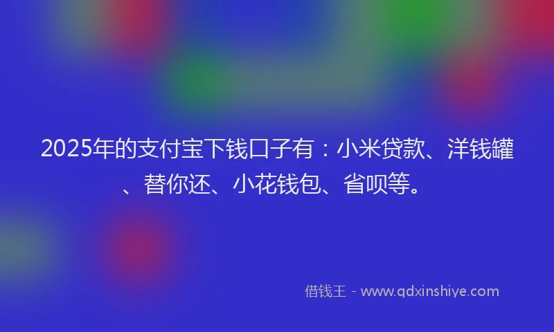 2025年的支付宝下钱口子有：小米贷款、洋钱罐、替你还、小花钱包、省呗等。