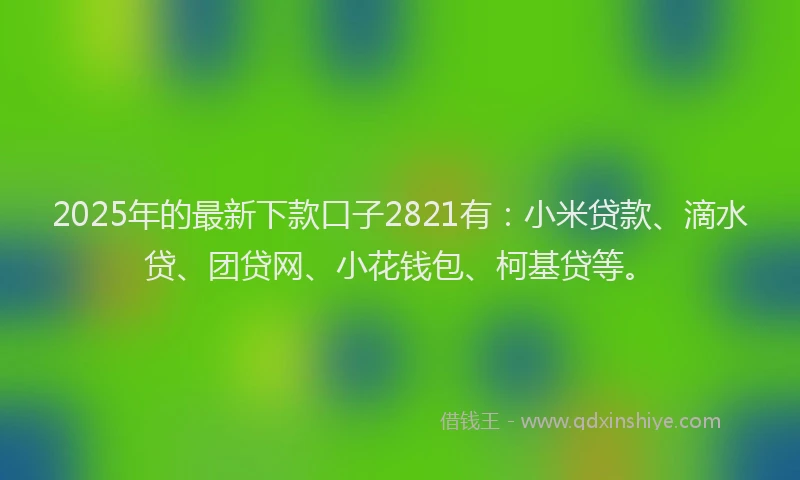 2025年的最新下款口子2821有：小米贷款、滴水贷、团贷网、小花钱包、柯基贷等。