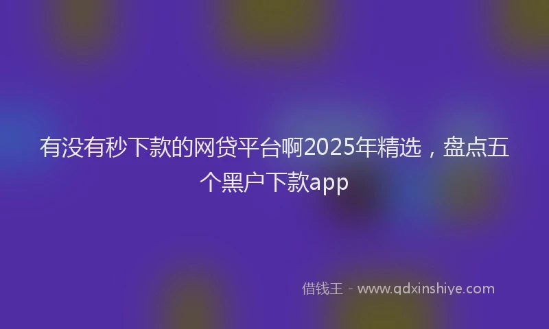 有没有秒下款的网贷平台啊2025年精选，盘点五个黑户下款app