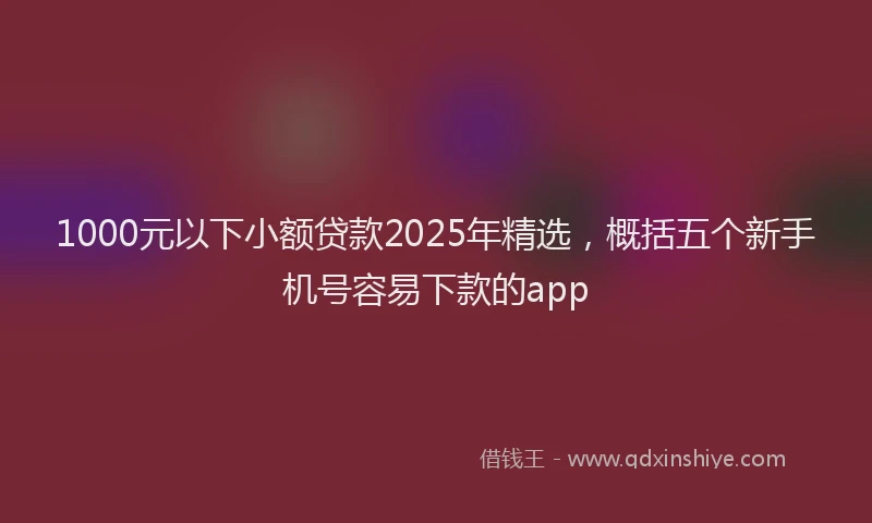 1000元以下小额贷款2025年精选，概括五个新手机号容易下款的app