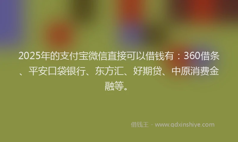 2025年的支付宝微信直接可以借钱有：360借条、平安口袋银行、东方汇、好期贷、中原消费金融等。
