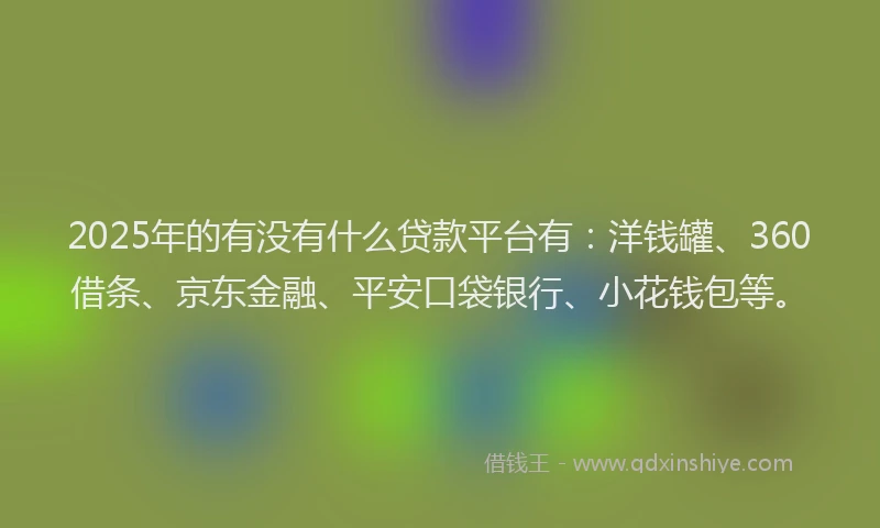 2025年的有没有什么贷款平台有：洋钱罐、360借条、京东金融、平安口袋银行、小花钱包等。