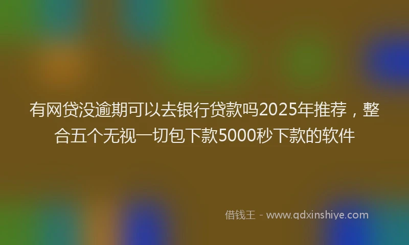 有网贷没逾期可以去银行贷款吗2025年推荐，整合五个无视一切包下款5000秒下款的软件