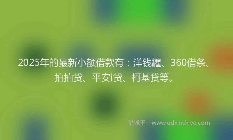 2025年的最新小额借款有：洋钱罐、360借条、拍拍贷、平安i贷、柯基贷等。
