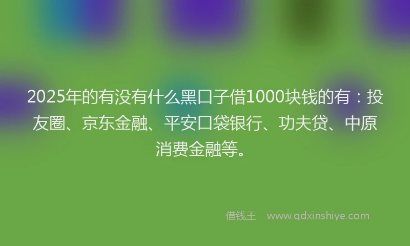 2025年的有没有什么黑口子借1000块钱的有：投友圈、京东金融、平安口袋银行、功夫贷、中原消费金融等。