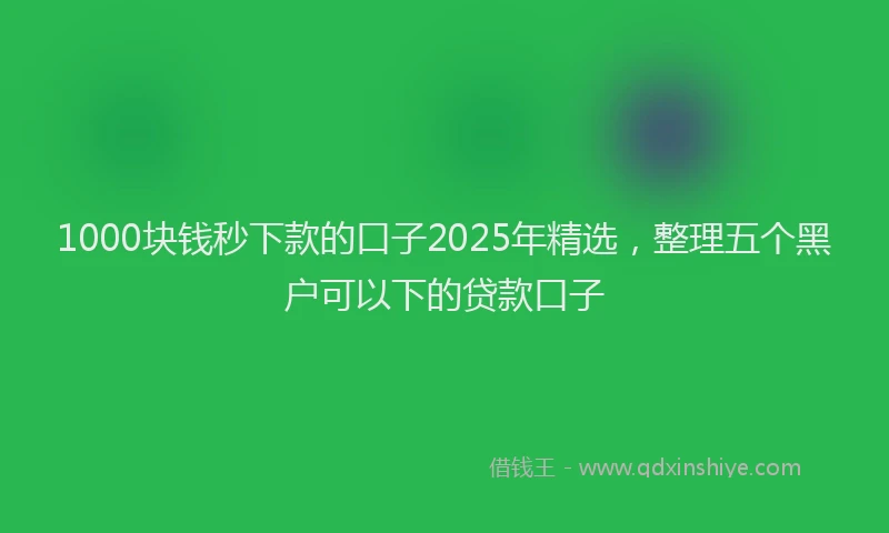 1000块钱秒下款的口子2025年精选，整理五个黑户可以下的贷款口子