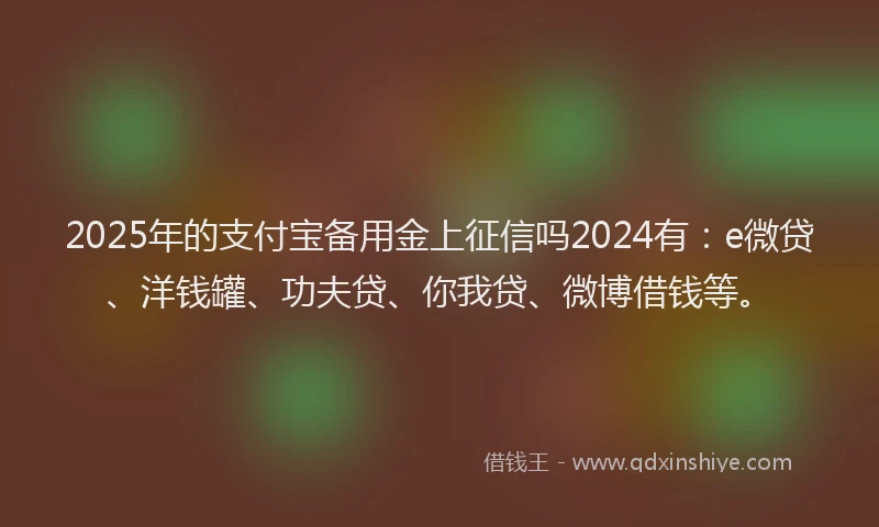 2025年的支付宝备用金上征信吗2024有：e微贷、洋钱罐、功夫贷、你我贷、微博借钱等。