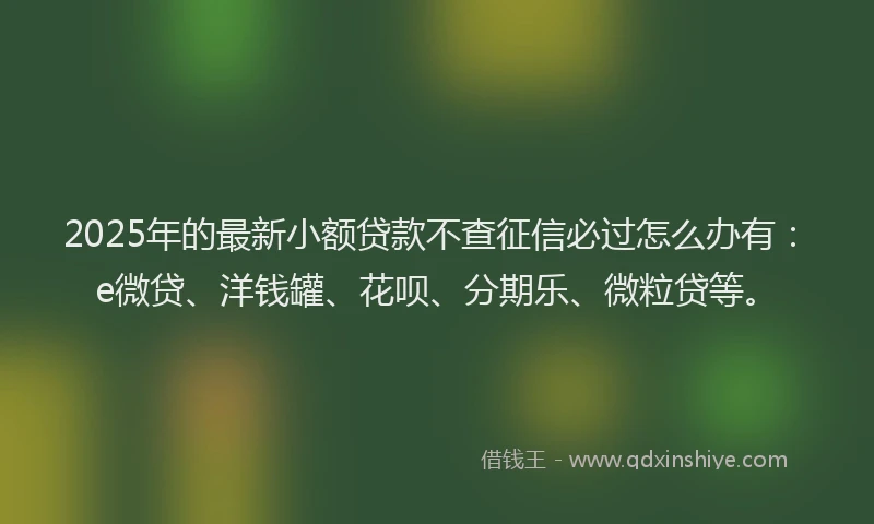 2025年的最新小额贷款不查征信必过怎么办有：e微贷、洋钱罐、花呗、分期乐、微粒贷等。