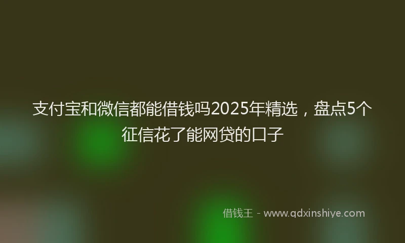 支付宝和微信都能借钱吗2025年精选，盘点5个征信花了能网贷的口子