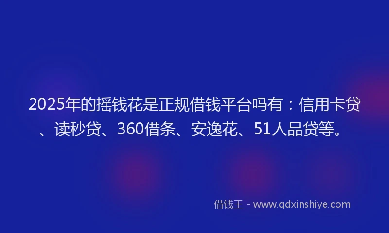 2025年的摇钱花是正规借钱平台吗有：信用卡贷、读秒贷、360借条、安逸花、51人品贷等。