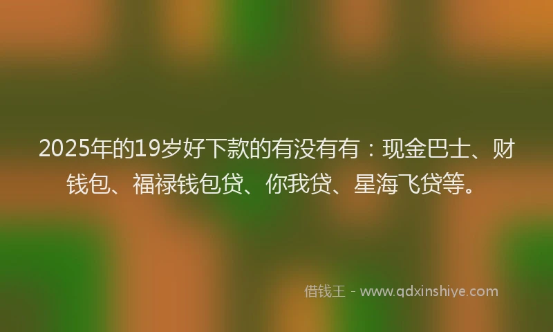 2025年的19岁好下款的有没有有：现金巴士、财钱包、福禄钱包贷、你我贷、星海飞贷等。