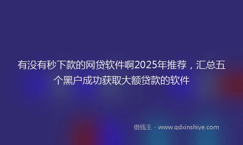 有没有秒下款的网贷软件啊2025年推荐，汇总五个黑户成功获取大额贷款的软件