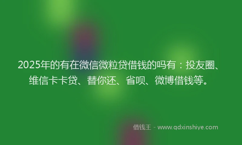 2025年的有在微信微粒贷借钱的吗有：投友圈、维信卡卡贷、替你还、省呗、微博借钱等。