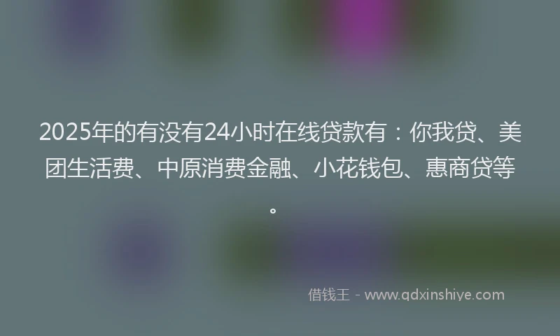 2025年的有没有24小时在线贷款有：你我贷、美团生活费、中原消费金融、小花钱包、惠商贷等。