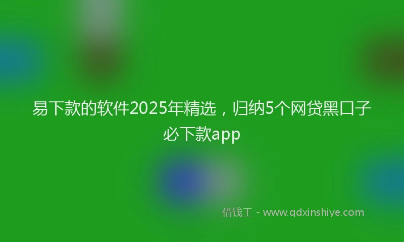 易下款的软件2025年精选，归纳5个网贷黑口子必下款app