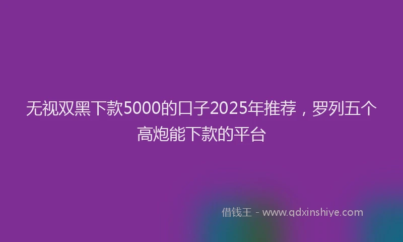 无视双黑下款5000的口子2025年推荐，罗列五个高炮能下款的平台