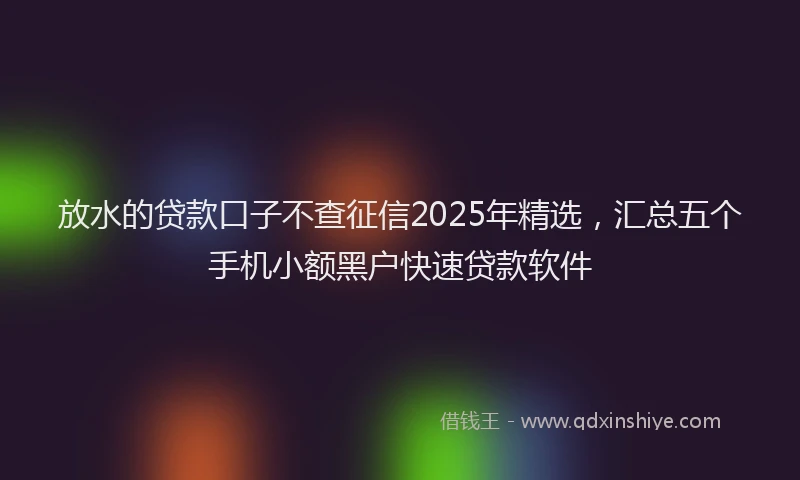 放水的贷款口子不查征信2025年精选，汇总五个手机小额黑户快速贷款软件