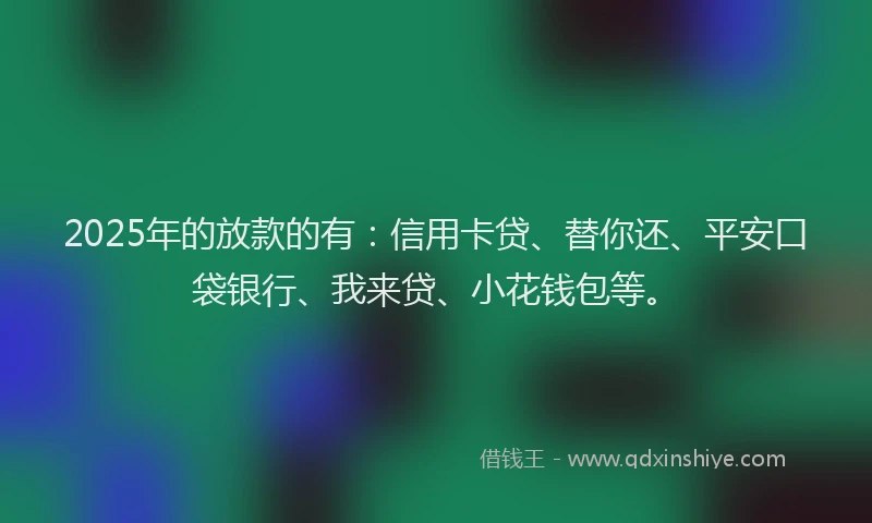 2025年的放款的有：信用卡贷、替你还、平安口袋银行、我来贷、小花钱包等。