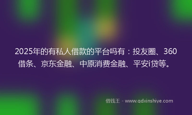 2025年的有私人借款的平台吗有：投友圈、360借条、京东金融、中原消费金融、平安i贷等。