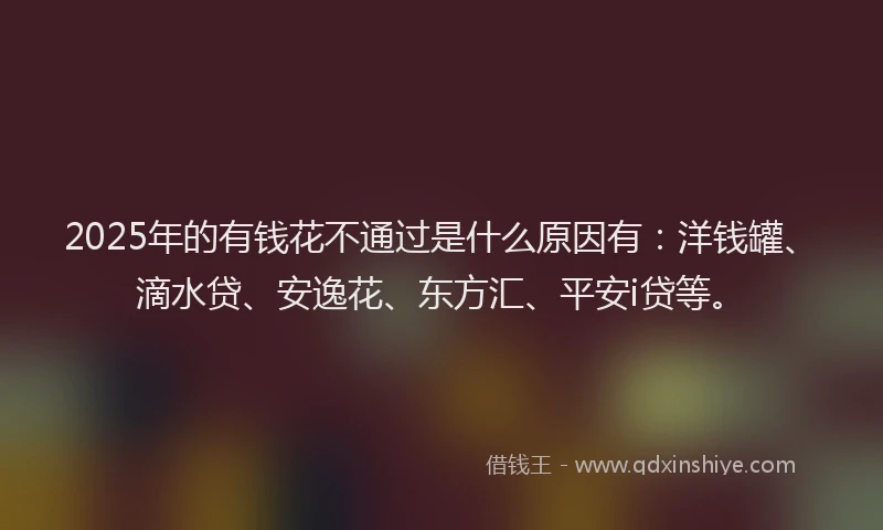 2025年的有钱花不通过是什么原因有：洋钱罐、滴水贷、安逸花、东方汇、平安i贷等。