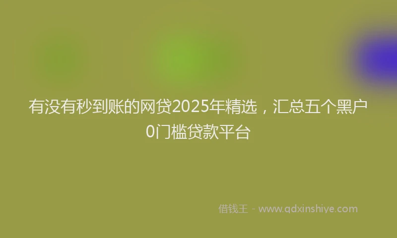 有没有秒到账的网贷2025年精选，汇总五个黑户0门槛贷款平台