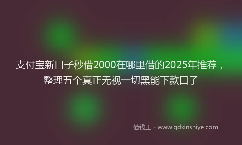 支付宝新口子秒借2000在哪里借的2025年推荐，整理五个真正无视一切黑能下款口子