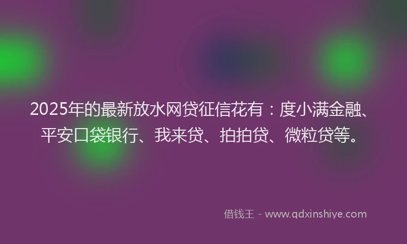 2025年的最新放水网贷征信花有：度小满金融、平安口袋银行、我来贷、拍拍贷、微粒贷等。
