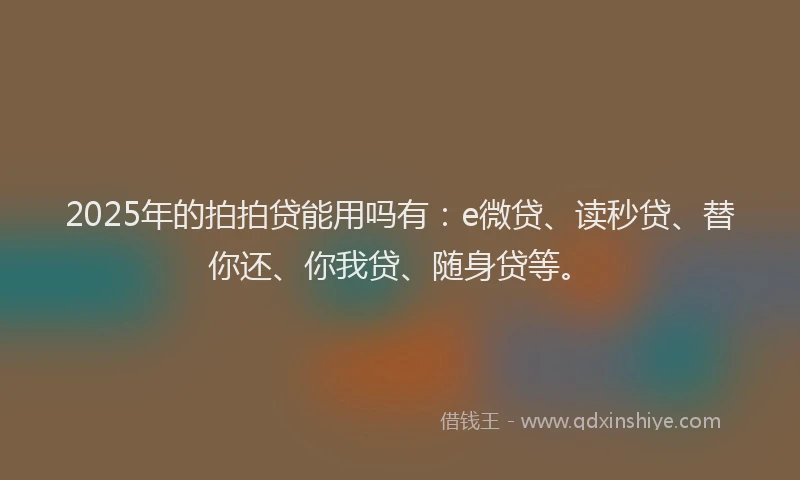 2025年的拍拍贷能用吗有：e微贷、读秒贷、替你还、你我贷、随身贷等。