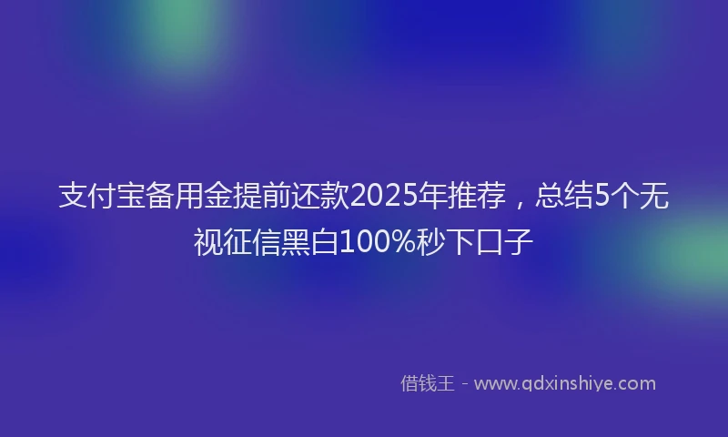 支付宝备用金提前还款2025年推荐，总结5个无视征信黑白100%秒下口子