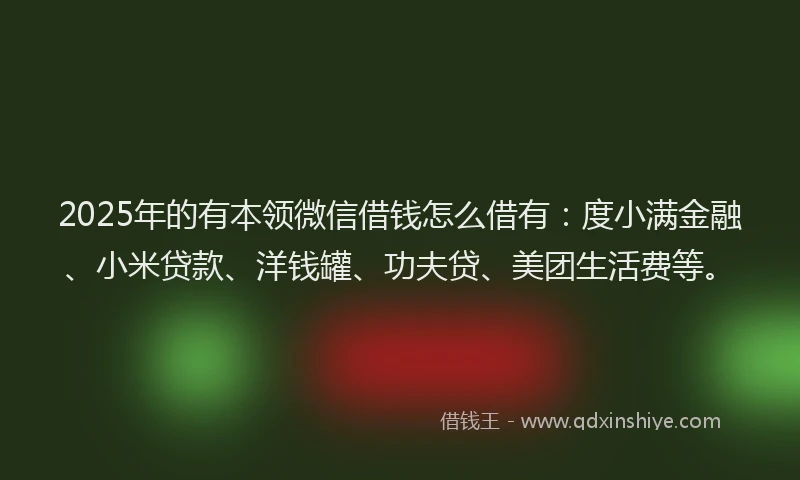 2025年的有本领微信借钱怎么借有：度小满金融、小米贷款、洋钱罐、功夫贷、美团生活费等。