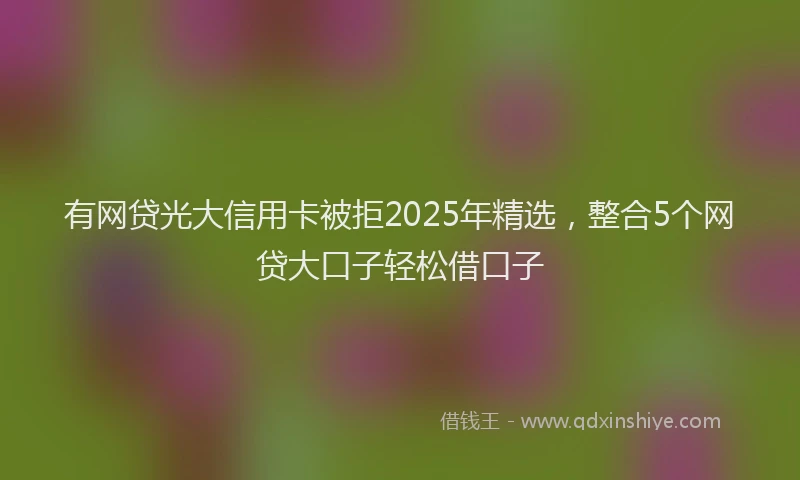 有网贷光大信用卡被拒2025年精选，整合5个网贷大口子轻松借口子