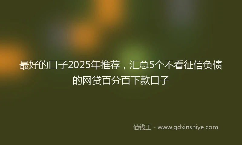 最好的口子2025年推荐，汇总5个不看征信负债的网贷百分百下款口子